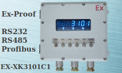 img/loadcell-images/liste/KELI_EX-XK3101C1_Indicator.png